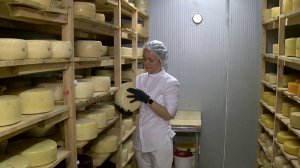 В Сочи налажено производство итальянских, английских и сирийских сыров