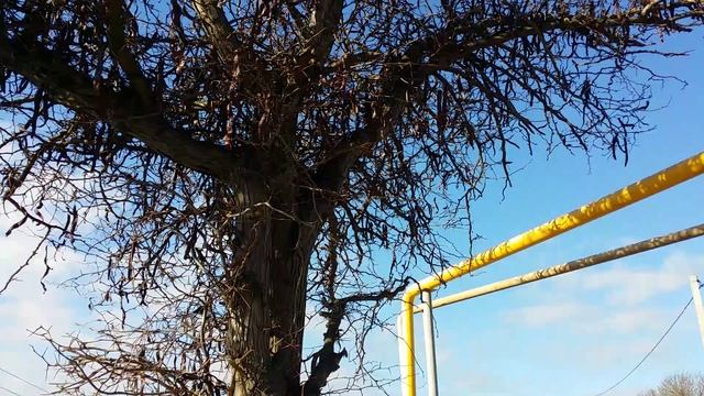 Глядичия)?2021г. смотреть онлайн