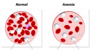 ЧЕТВЕРТЫЙ МЕСЯЦ БЕРЕМЕННОСТИ