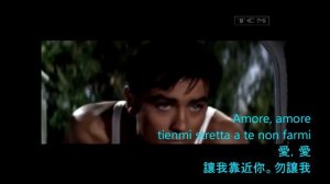 Alain Delon - Forget Domani (Alain+Katyna Ranieri) with lyrics
