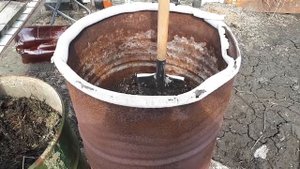 Детализация посадки огурцов в бочку. Плюсы, минусы и подсолнухи