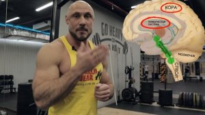 О ВРЕДЕ ЕДЫ НА НОЧЬ