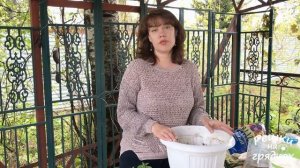 Высаживаем красивые однолетники в одно кашпо Как сочетать Что добавить в кашпо для пышного цветения