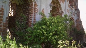 Церковь святителя Николая Чудотворца в с Фомищево Вяземского района