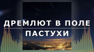 Рождественская Христианская Песня - Дремлют в поле пастухи - Виталий Русавук