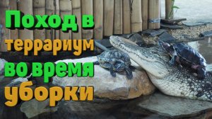 Поход в террариум во время уборки.mkv