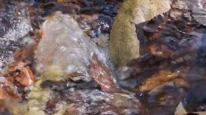 Kal Akal - Siri Akal - Maha Akal - Akal Murat - Kundalini Yoga Mantra Meditation