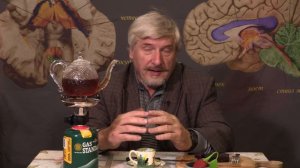 Изучение мозга собак