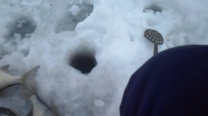 река Сылва рыбалка на леща на червя