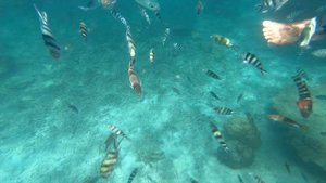The Taaras Beach & Spa Resort Malaysia