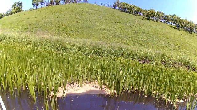 Змееголов в начале июня смотреть онлайн