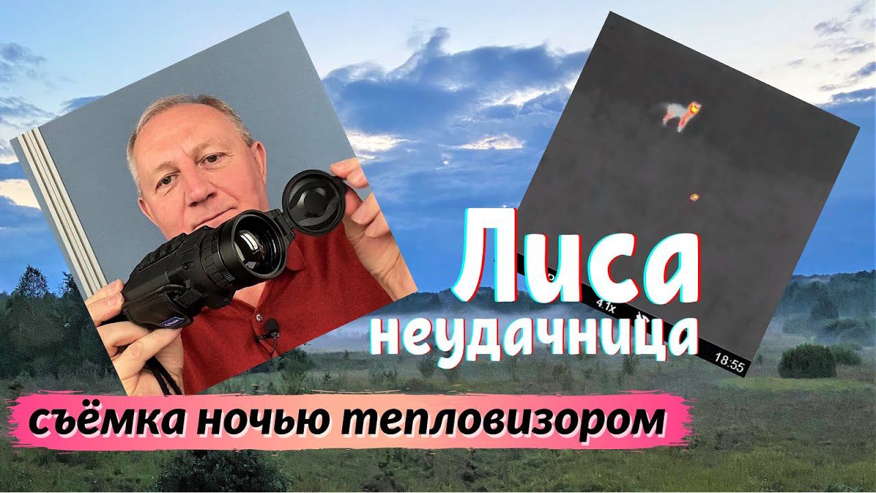 Ночной лес и лиса / Съёмка тепловизором Pulsar Helion XQ50F