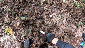 УДАЧНЫЙ КОП В ЛЕСУ! РЕАЛЬНЫЙ ПОИСК С МЕТАЛЛОИСКАТЕЛЕМ XP ORX. Коп поиск монет 2023