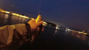 #459 #streetfishing | Nano Zero Air против ОКУНЕЙ |