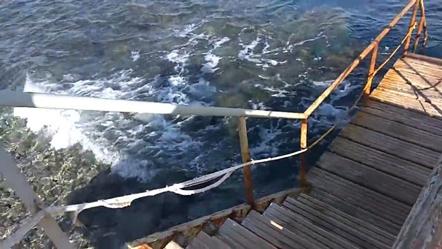 Пляж Пальма (Palm Beach) и Красное море Шарма