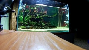 Подмена воды в аквариуме.