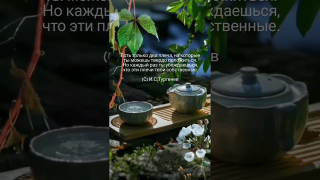 Есть только два плеча 🤗🌺🌿