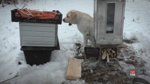 Складная походная коптильня Winnerwell® Fastfold Smoker Large / ДЫМ-ДЫМ МЯСО КОПТИМ ЗИМОЙ В ЛЕСУ