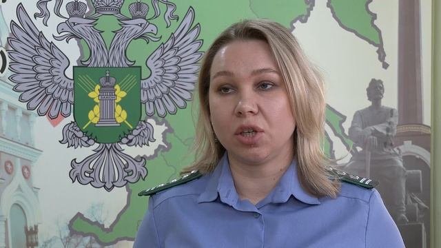 Хозяева домашних питомцев, которые планируют отправиться с питомцами за границу