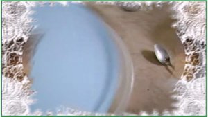 Активация (закваски) стартера для выпечки без дрожжевого теста