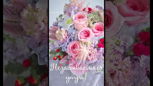 Хороших выходных, отличного настроения море позитива смотреть онлайн