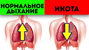 Думаешь, ты просто икнул? Нет, это твое тело предупреждает тебя о...