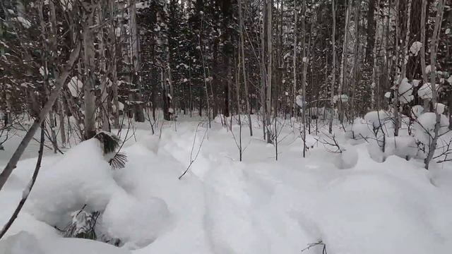 Промысел 2022 февраль смотреть онлайн