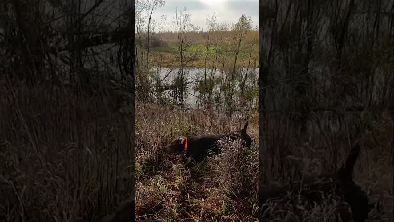 Это не то короче. Красивые высказывания про стиль и моду. Это не то короче. Потом будет поздно цитата. Это не то короче.