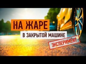 Расплавился на жаре. Заперли в машине без воды. Эксперимент