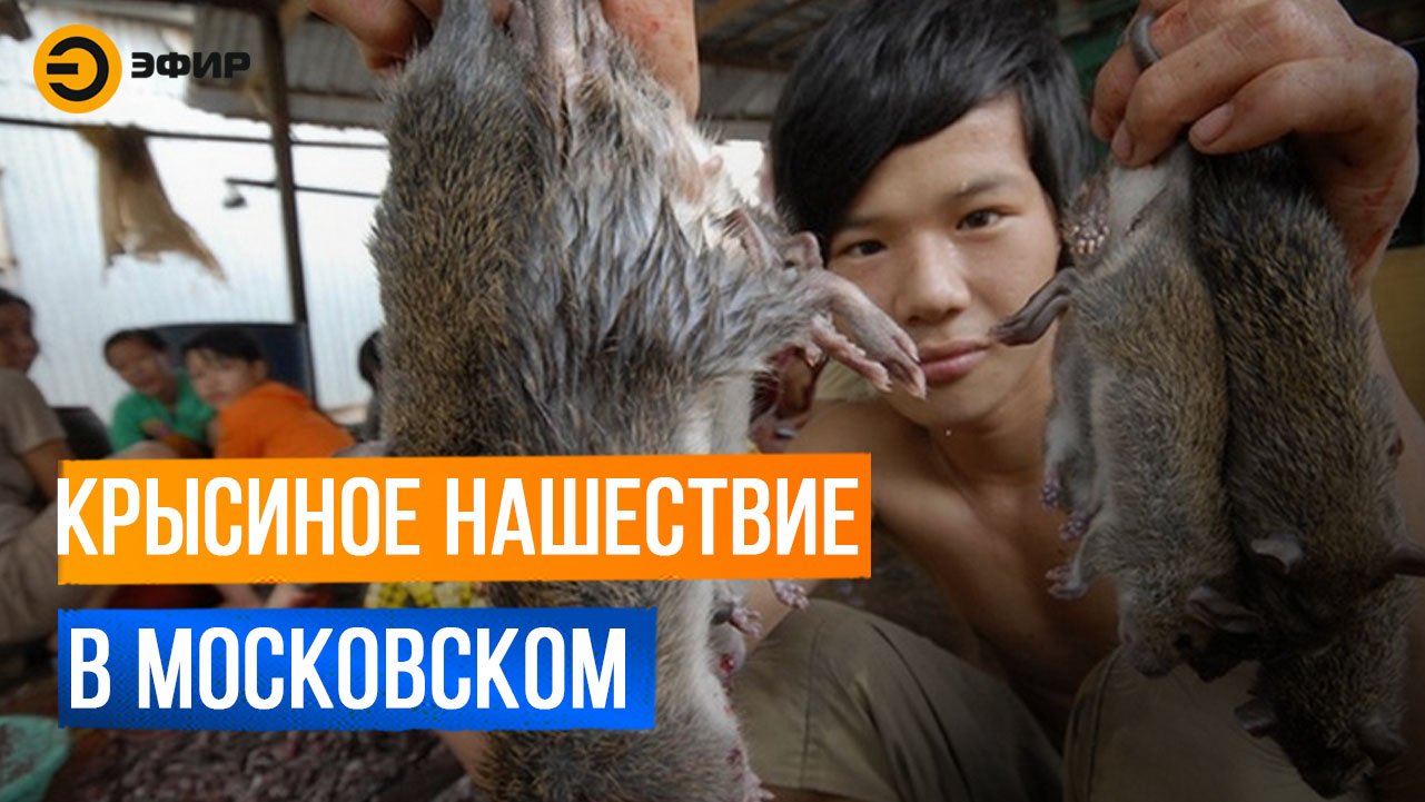 Жители Казани встали на защиту Московского рынка