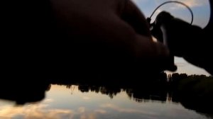 Обзор телескопического спиннинга MIKADO Princess. Щучка "Первоклашка" на 31 августа.