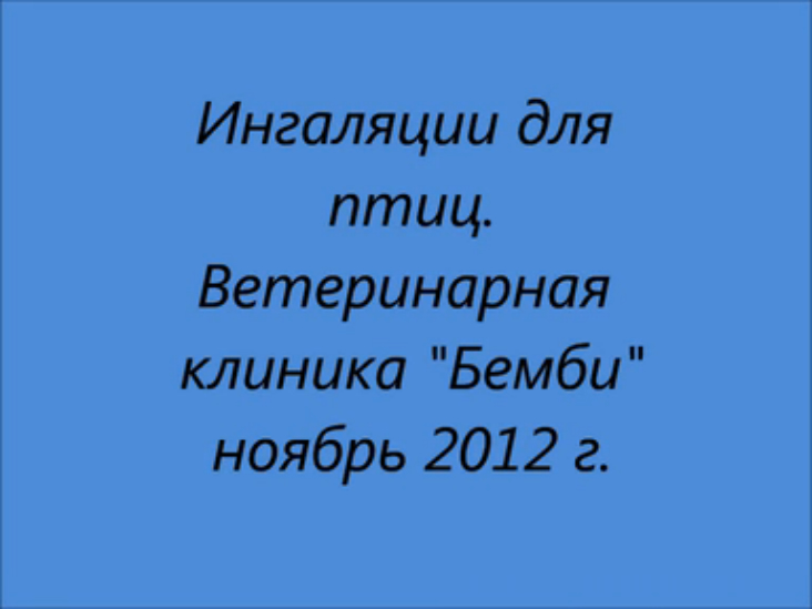 Ингаляции для птиц.