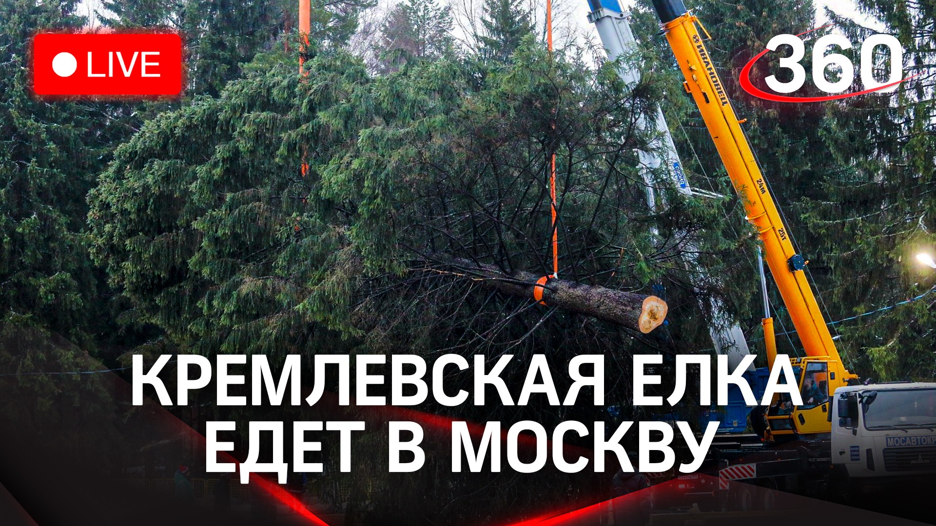 Кремлевскую елку из Волоколамска везут в Москву. Прямая трансляция