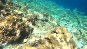OBLU Nature Helengeli Maldives Snorkelling April 2022