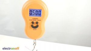 Электронные Весы-кантер. Обзор