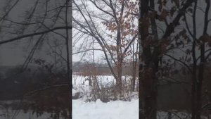 Прогулка на озеро Девятка. ч.1. Реттиховка. Приморский край.