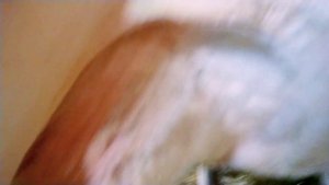 ДОЙКА ГОЛШТИН. Лайфхаки для доярок. Лайфхаки в коровнике