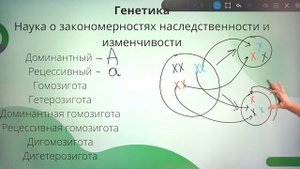 Генетика: разбор основных терминов | ЕГЭ 2022 по БИОЛОГИИ