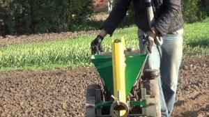 Мотоблок СССР  Риони 2 (копия Gravely L) и ПОСАДКА КАРТОФЕЛЯ...