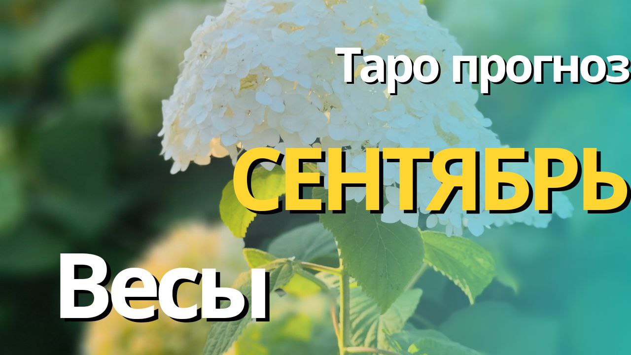 ВЕСЫ СЕНТЯБРЬ  2023 [Таро прогноз]
