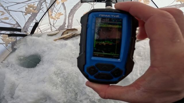 Тестирую эхолот "Практик 8" на морской подлёдной рыбалке смотреть онлайн