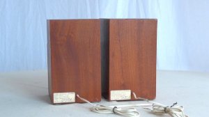 Акустическая система "Элиот 30АС-101КЕ" СССР 1990 г.