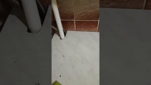 Как и чем отмыть глянцевую столешницу?