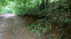 Обзор тропы Ширяево - Гаврилова Поляна. Поход в Жигулёвские горы в национальном парке Самарская Лук