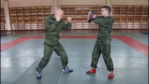 Упражнение 27. Удары рукой (НФП-2009)