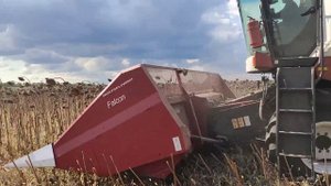 Комбайн Vector 410 с жаткой Falcon Ростсельмаш, подсолнечник 2021