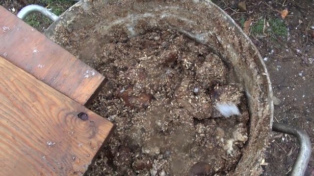 Фиксатор для Овец и Коз. смотреть онлайн