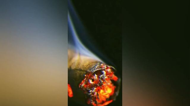 salv110 & 2buz- Kosa смотреть онлайн