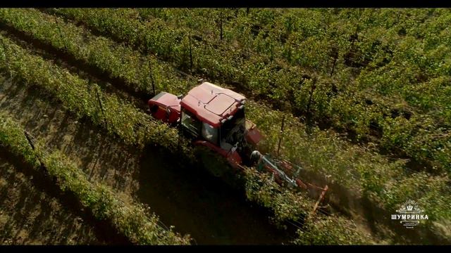 Винодельня Шумринка