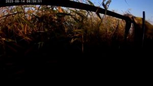 #Охота на утку осень 2023